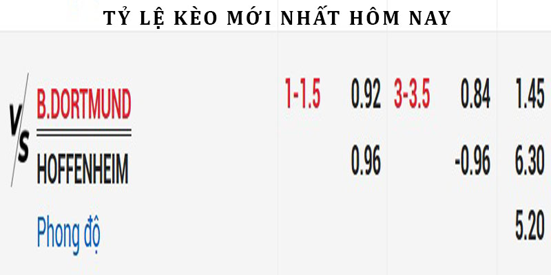 Bảng kèo Dortmund vs Hoffenheim mới nhất hôm nay
