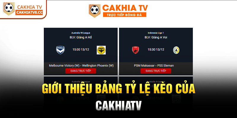 Giới thiệu bảng tỷ lệ kèo của CakhiaTV